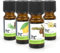 Höfer Chemie Duft Set mit 4 Düften - Vanille, Zitrone, Fichte, Kiefer für Duftlampen Diffuser Potpourris Aromatherapie - Duftöl Ätherisches Öl