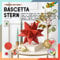 folia 408/1515 - Bastelset Bascetta Stern Winterornament rot/gold, 32 Blatt, 15 x 15 cm, fertige Größe des Papiersterns ca. 20 cm, mit ausführlicher Anleitung - ideal zur zeitlosen Dekoration