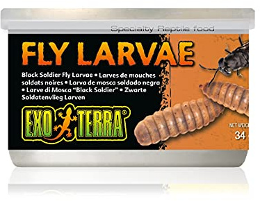 Exo Terra Specialty Reptile Food, Canned Black Soldier Fly Larvae for Reptiles