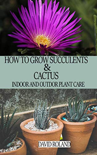 HOW TO GROW SUCCULENTS AND CACTUS: Indoor and Outdoor Plant care
