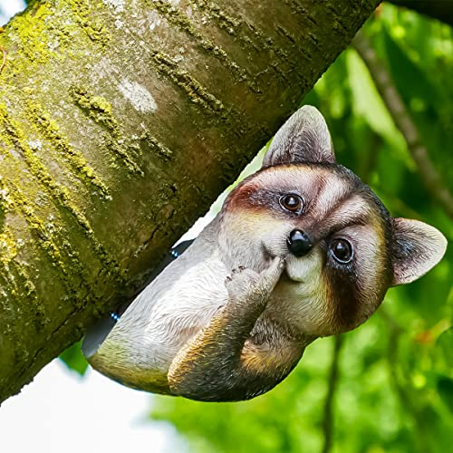SHACAMO Baumtier Waschbär Dekofigur