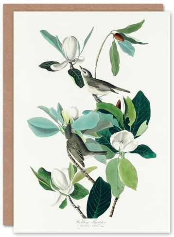Artery8 John James Audubon Art Card Warbling Flycatcher and Magnolia Flowers