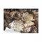 decomonkey Fototapete Blumen 450x315 cm Design Tapete Fototapeten Vlies Tapeten Vliestapete Wandtapete moderne Wand Schlafzimmer Wohnzimmer Pfingstrosen Rose Ornament