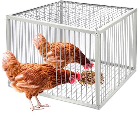 Jaula de trampa para pollos con diseño a prueba de escapes, jaula de trampa automática para pollos y pájaros grandes, trampa para palomas y patos para venta con pintura antioxidante para hornear