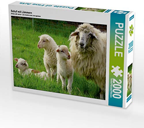 CALVENDO Puzzle Schaf mit Lämmern 2000 Teile Lege-Größe 90 x 67 cm Foto-Puzzle Bild von Sabine Löwer