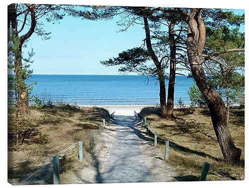 Posterlounge Am Ostseestrand auf Rügen Leinwandbild von Andrea Potratz 80 x 60 cm Wandbilder Wanddeko