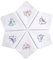 Selected Hanky Damen-Taschentücher aus Baumwolle, bestickt mit Spitze, 6 Stück – Box