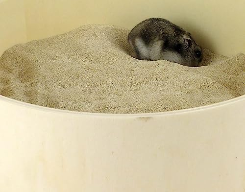 Getzoo Badesand - Chinchilla Sand 2 kg I Spezialpflege für Fell und Krallen I Vielseitige Anwendung I 100% Sepiolitsand I Für Diverse Nager und Exoten geeignet (2 kg)