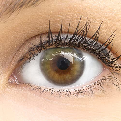 Glamlens lentilles de couleur vert naturelles colorées très haute opacité Bardolino Green + étuis à lentilles de contact I 1 paire (2 pièces) I 90 Jours I sans correction I 0,00 Dioptries