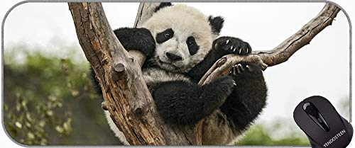 Extended Gaming Mauspad, Zahnbürstentier Panda Professionelle Mousepad, genähte Kanten