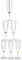 Spacnana 6 STÜCKE LED Wein Sektglas Gläser, Innovative Light Up Cup Multicolor LED Weingläser