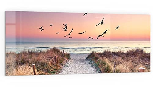 DEQORI Küchenrückwand Glas | Motiv Strandaufgang zur Ostsee | 125x50 cm | Bad- oder Herd-Rückwand | Herdblende Spritzschutz für Küche & Badezimmer | moderne Deko für Fliesenspiegel