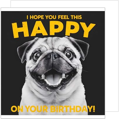 Edition Seidel Premium quadratische Geburtstagskarte mit Umschlag. Glückwunschkarte Happy Birthday Billet Tier Karte mit Spruch für Frau Mann cooler Hund Mops lustig Humor (GQ299 SW024)