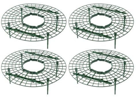 Sewroro Lot de 4 Supports Grimpants pour Fraisiers Verts Jardinage en Balcon, Support Plastique pour Plantes en Pot, Étagère pour Plantes Grimpantes, Favorisant Maturation et Récolte