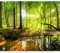 murando - Fototapete Premium-Vlies Wald 350x256 cm - Foto Tapete Schlafzimmer Wohnzimmer Moderne Vliestapete XXL Wandtapete Motivtapeten Bildtapete 3d Effekt Wand Dekoration - Sonne c-B-0241-a-a