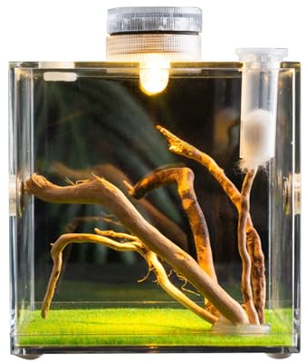 Eventerde Springspinnen Gehege, Acryl Vogelspinnen Gehege, Springspinne Wohnraum, Spinnen Terrarium Kit, Spinnenkäfig, Käfer Terrarium, Insektenterrarium, Springspinne Habitat Gehege Zubehör