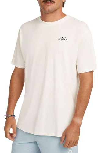 O'Neill Small Logo T-Shirt Herren