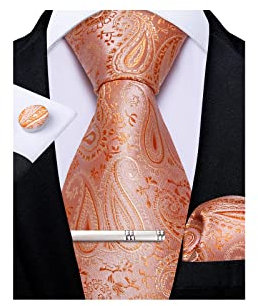 DiBanGu Herren Krawatte Taschentuch Seide Paisley Floral Krawatte Einstecktuch Manschettenknöpfe Krawattenklammer Set, 02 Koralle, 150