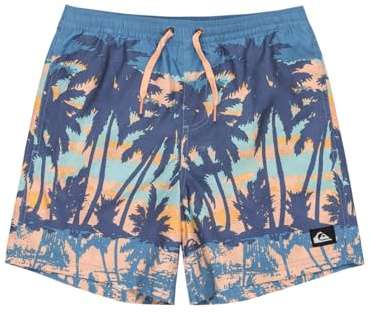 Quiksilver - Everyday Straight Volley 14 Boardshorts - Kind