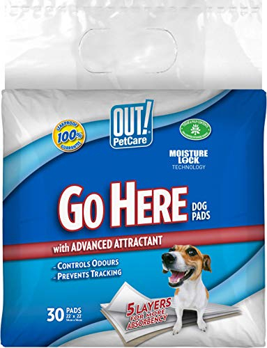 OUT! Moisture Lock Dog Training Pads - 30 Pack