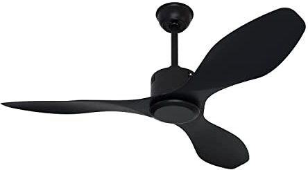 Goozegg Low Profile Ceiling Fan with Remote Control No Light, 3 Blades, 48-Inch, Black