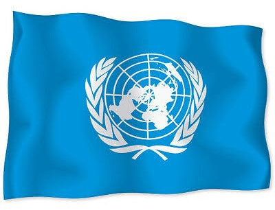 WildeBabsKLBT United Nations car K1333 Hochwertiger Premium Auto-Aufkleber Sticker Decal Autoaufkleber Aufkleber-Folie 12cm