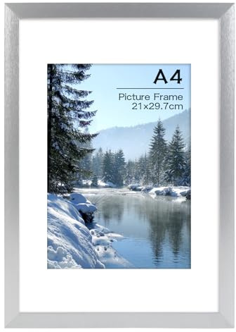 kollyseek Photo Frame Din A4 Acrylic Glass 21x29.7 cm Wire Drawing Process Poster Frame Photo Wall (Silver