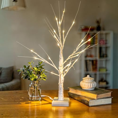 Small White Twig Tree with Lights - 60cm Mini White Birch Tree with Lights 20 Warm LEDs Battery Operated or Micro USB Powered Tabletop Decoration for Christmas and Easter