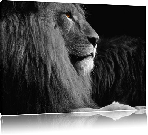 Pixxprint Dark wunderschöner stolzer Löwe B&W, Größe: 80x60cm, Leinwandbild, fertig gespannt, Wandbild, Dekoration, Kunstdruck, kein Poster