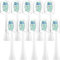 10 Stück Kompatibel mit Happybrush Eco VIBE 3 Elektrische zahnbürste Schallzahnbürste Ersatz Zahnbürste Köpfe, Passend für Happybrush Eco VIBE 3, Mit Staubabdeckung (Weiß, M)