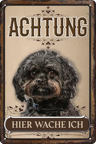 30 x 20 cm wetterfestes Blechschild, Warnhinweis, Torschild, Achtung, hier Wache ich! Warnung vor dem Hund (Bolonka Svetna)