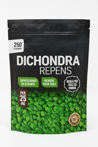 DICHONDRA - Dicondra Repens per 25 mq di prato 250 gr.