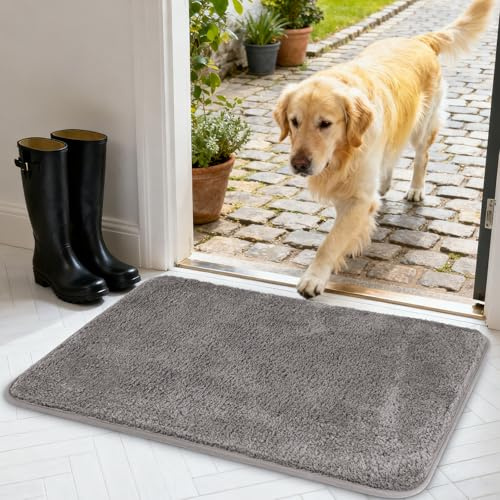 AUAUY Fußmatte für Innen- und Außenbereich, rutschfest Wasserdicht, Schmutzfänger Türmatte, Maschinenwaschbar, für Eingangsbereich, Küche, Wohnzimmer, Schlafzimmer, Badezimmer 40 x 60 cm (Grau)