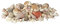 Relaxdays Muschel Deko im Set, XL-Mix mit großen Meeresschnecken, Herzmuscheln, maritime Tischdeko zum Basteln 2kg, bunt