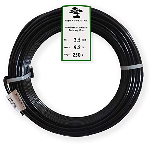 Grow A Bonsai Tree Eloxiertes Aluminium 3,5mm Bonsai Draht 250g große Rolle (30 Feet) - (3,5mm, Schwarz)