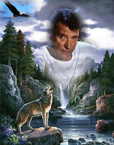 5d peinture diamant Loup grande taille kit complet Loup aigle Diamant broderie 5d bricolage Johnny Hallyday diamant peinture mosaïque puzzle image de strass point de croix@40x50cm