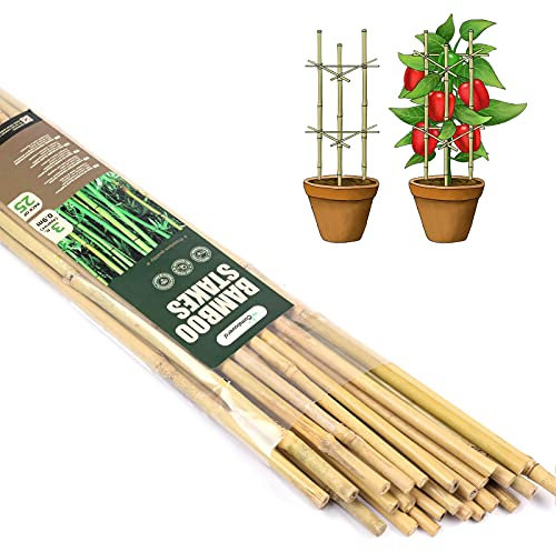 Cambaverd Lot de 25 piquets de jardin en bambou de 90 cm pour tomates roms, tournesols, haricots, plantes grimpantes en pot et plantes grimpantes
