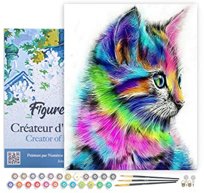 Figured'Art Pintar por Numeros Adultos con marco Gato Colorido - Manualidades pintura acrilica Kit Cuadro DIY completo - 40x50cm con bastidor montado