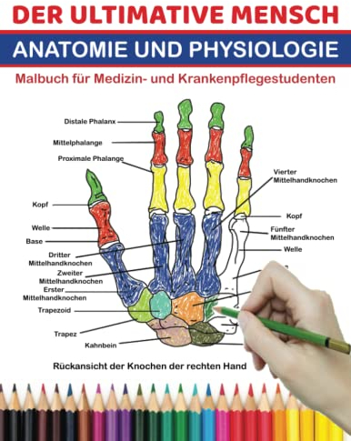 DER ULTIMATIVE MENSCH ANATOMIE UND PHYSIOLOGIE Malbuch für Medizin- und Krankenpflegestudenten: Der ultimative Selbsttest-Leitfaden zum Erlernen des ... Erwachsene und Kinder.