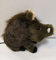 Wildschwein Plüsch ca. 25x12x19cm, Plüschtier Schwein, Schmusetier Wildtier. Plüschschwein