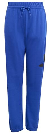 adidas Unisex Kids Essentials Big Logo Pants, Team Royal Blue/Black, 9-10 Years