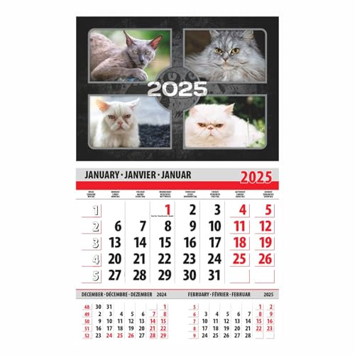 lepni.me Wütende Katze Kalender 2026 1 Monat | Bitte nicht stören Stimmung | Kalender für Katzenliebhaber und Tierfreunde Fans | 2026 12 Monate Monatlich 365-Tage-Planer