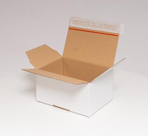 DHL Kleinpaket weiß 160x130x70mm - Neue DHL Klein Paket Größe für den optimierten Versand. Faltkarton mit Automatikboden - selbstklebend - Aufreißhilfe- Versandkarton (60, 160x130x70mm weiß)
