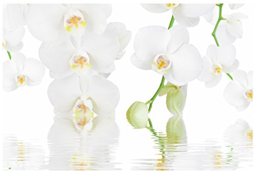 Apalis Orchideenbild Fensterfolie Sichtschutz Bild Wellness Orchidee Blumen 10x16cm