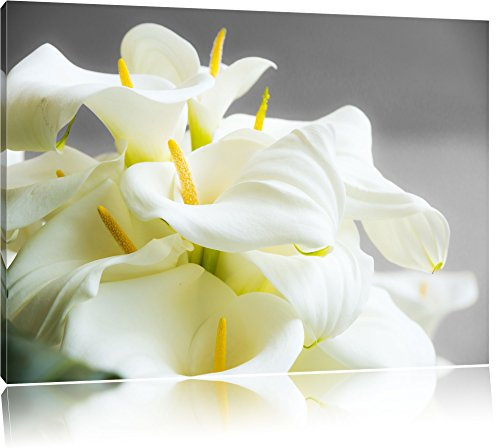 Pixxprint Wunderschöne weiße Calla Lilien, Größe: 120x80cm, Leinwandbild, fertig gespannt, Wandbild, Dekoration, Kunstdruck, kein Poster