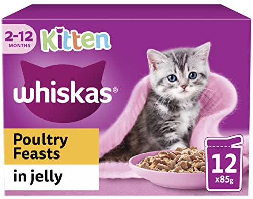 Whiskas Junior Poultry Selection in Jelly 48 x 85 g Pouches, Kitten Cat Food, Pack of 4 (12 x 85 g)