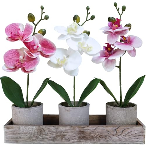 Winlyn Set di 3 piccole orchidee artificiali in vaso, con fioriera in legno rustico, realistiche al tatto, falena falena falena, fiori in vaso, per casa, ufficio, scrivania, mensola, tavolo,