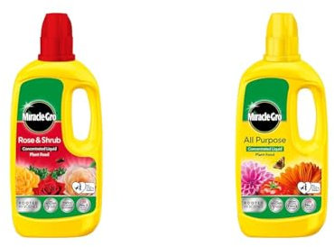 Miracle-Gro Rose & Shrub Concentrated Plant Food, 800 ml & All Purpose Concentrated Liquid Plant Food, 800ml