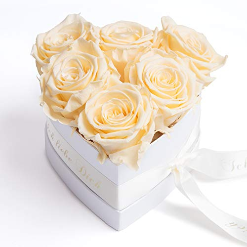 ROSEMARIE SCHULZ Heidelberg Infinity Herz Rosenbox - 15 x 10 cm 6 echte Rosen konserviert - Besondere (Beige, Medium)