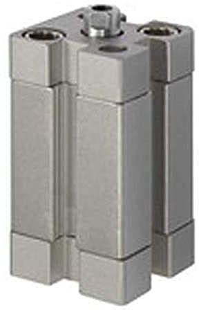 RIEGLER 15.DMI.100090 Serie ACE Kompaktzylinder, Doppeltwirkend, IG, Magnet, 100mm Kolben, 90mm Hub, G 1/8 Anschluss, M12 x 1.75 Kolbenstangen
